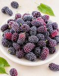 Frozen Mulberry Whole