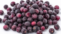 Frozen Indian Sherbet Berry Whole